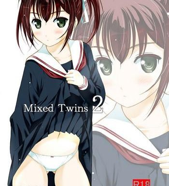 mixed twins 2 cover