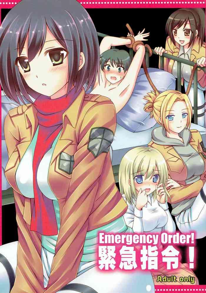 kinkyuu shirei emergency order cover