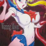 waning moon cover