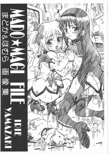 mado magi file madoka homura gazoushuu cover