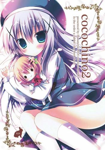 cocochino 2 cover