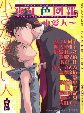 shounen iro zukan 3 cover