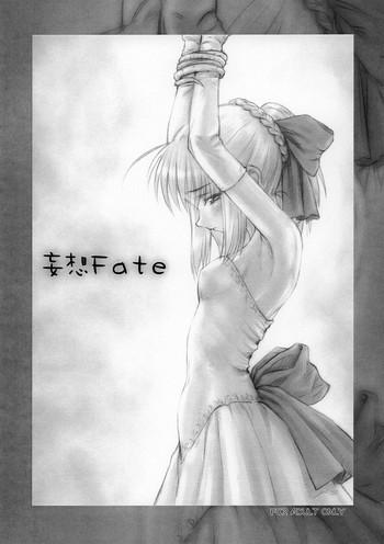 musou fate cover