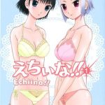 echiina 1 cover