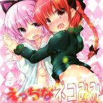 ecchi na nekomimi cover