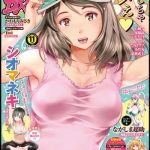 action pizazz dx 2018 11 cover