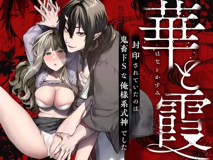 cover 11